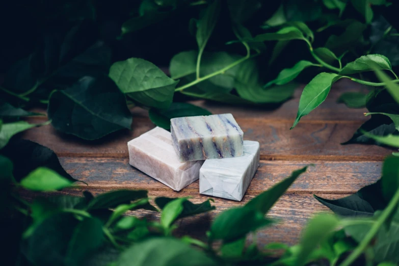 two soaps on top of some leaves