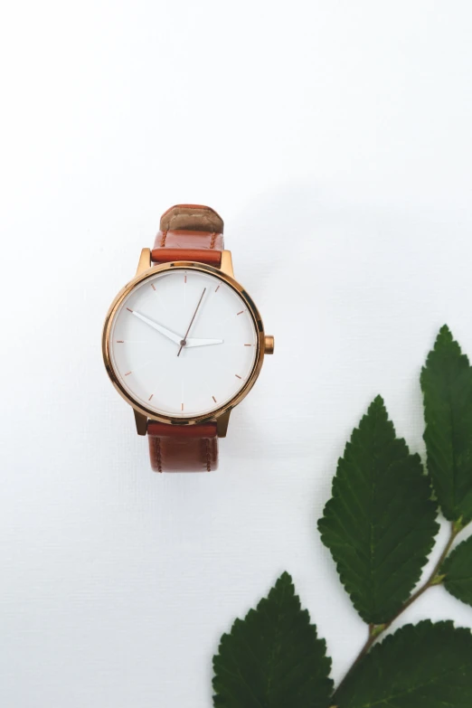 a wooden watch with brown straps and leafy nch