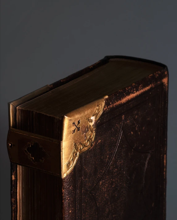 the cover of the book has gold embellishment