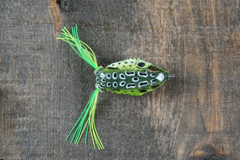 two green birds are sitting on the table