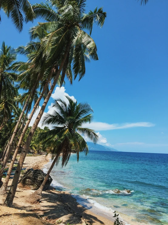 two people are sitting on the beach under palm trees