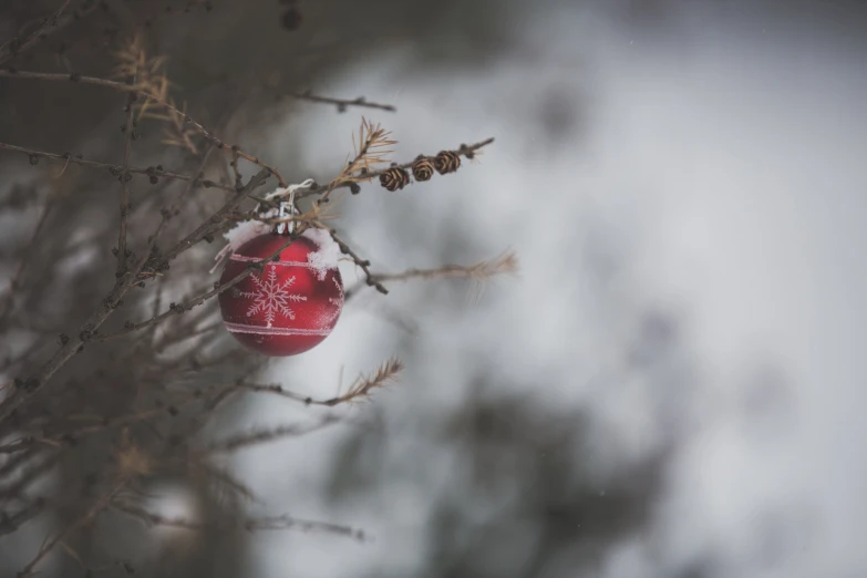 an ornament hanging from a nch on a nch