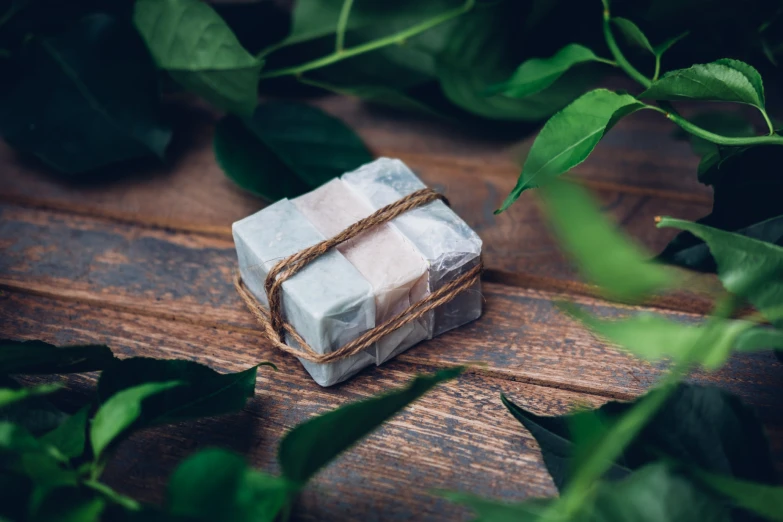 a wrapped gift with twine and tied string in front of some green leaves