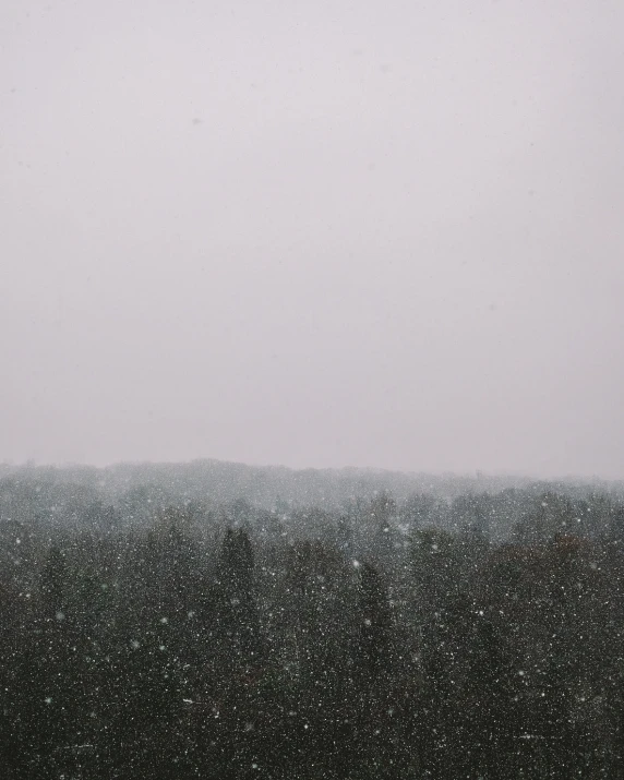 a person is flying an kite in the snow