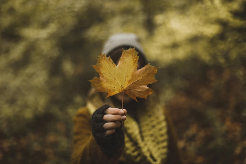 a woman holds a leaf that is in the air