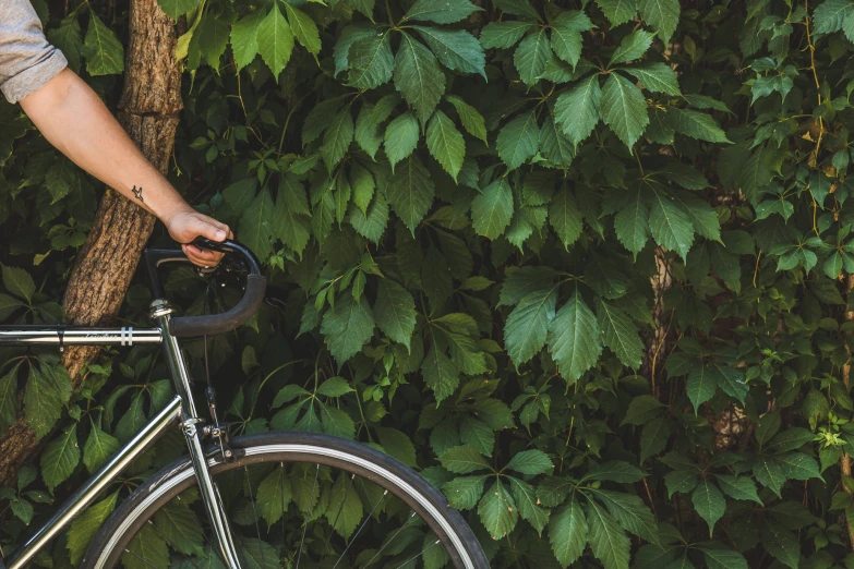 a person holding onto a bike against a bunch of leaves