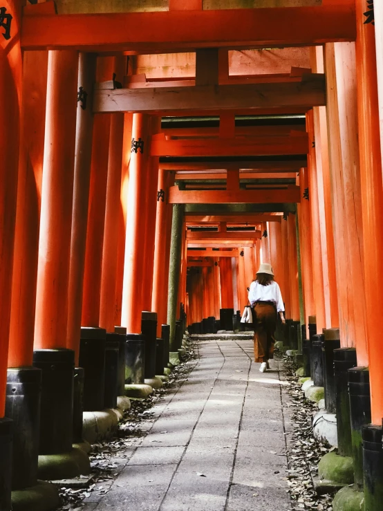 a man walks down a path between rows of wooden posts