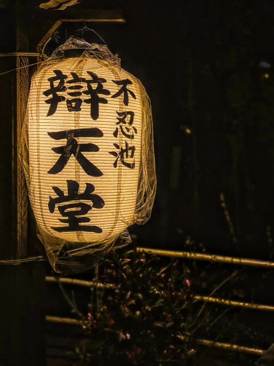 asian lantern lights up a tree in the dark