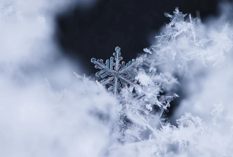 close up of an icy snowflake in the snow