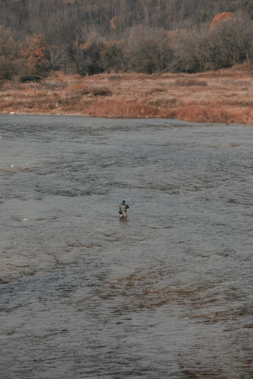 two birds are swimming in some shallow water