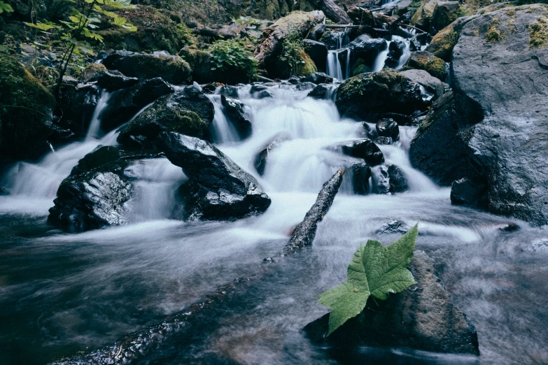 a waterfall flows over rocks into a forest