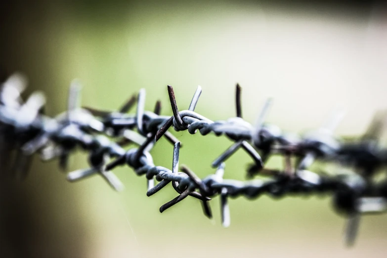 the razor blade of an iron barbwire fence