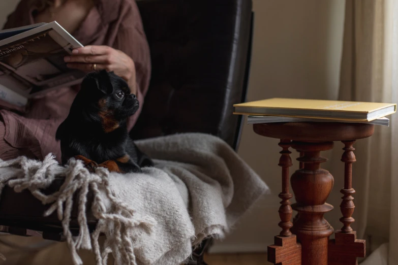 a woman reading a book to a dog sitting on a chair