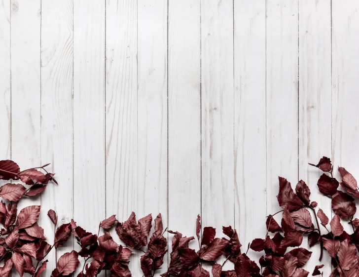 a white table with red leaves on it