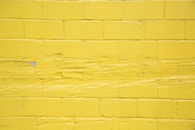 the yellow wall has a bird on it