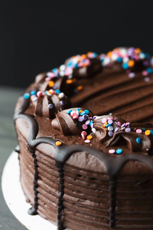 a chocolate cake with sprinkles and chocolate frosting