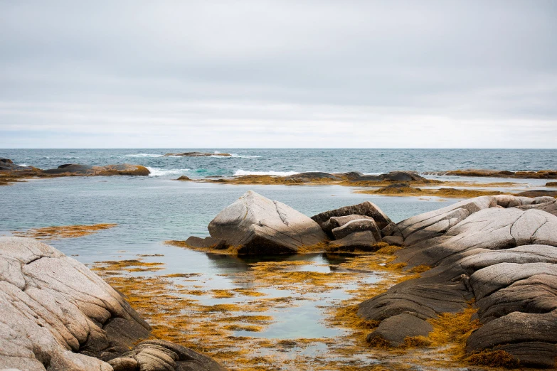 rocks covered with algae on the shore near water