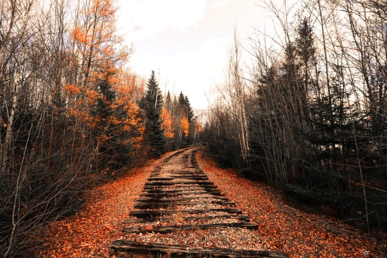 the pathway is lined with trees, and a path leads to the top