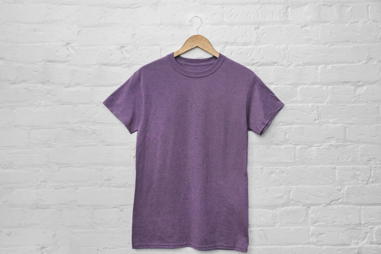 an image of a purple tee - shirt hanging on a brick wall