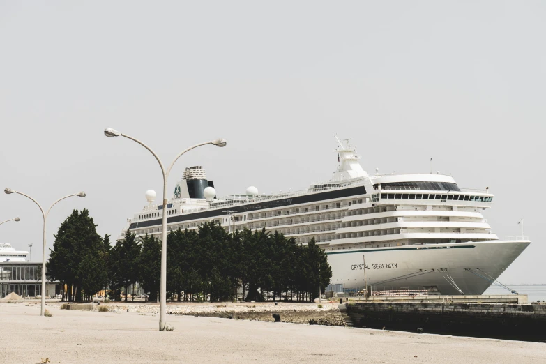 cruise ship docked in a harbor near a large city