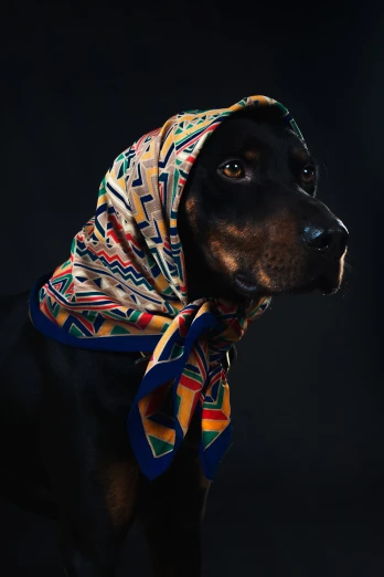 a dog with a colorful head scarf on it