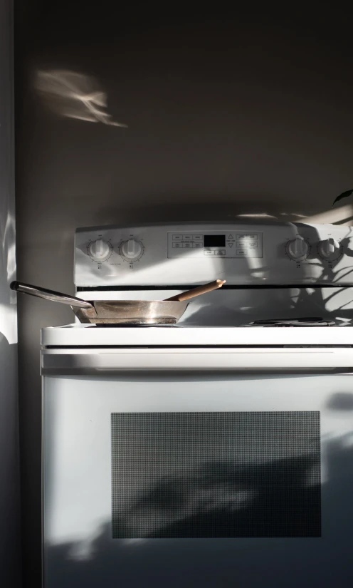 a picture of soing sitting on top of the oven