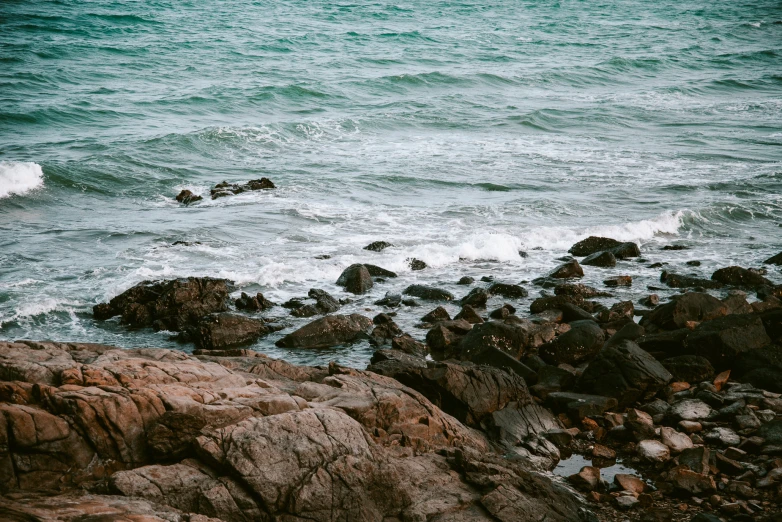 an ocean scene with two birds on rocks