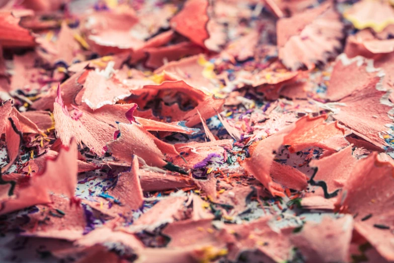 very many pink flowers and various small pieces of paper