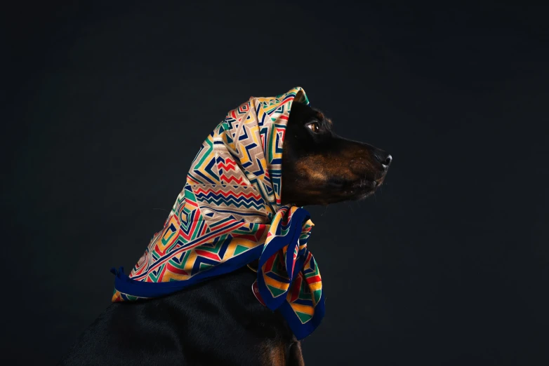 a dog wearing a cloth covered in colorful designs