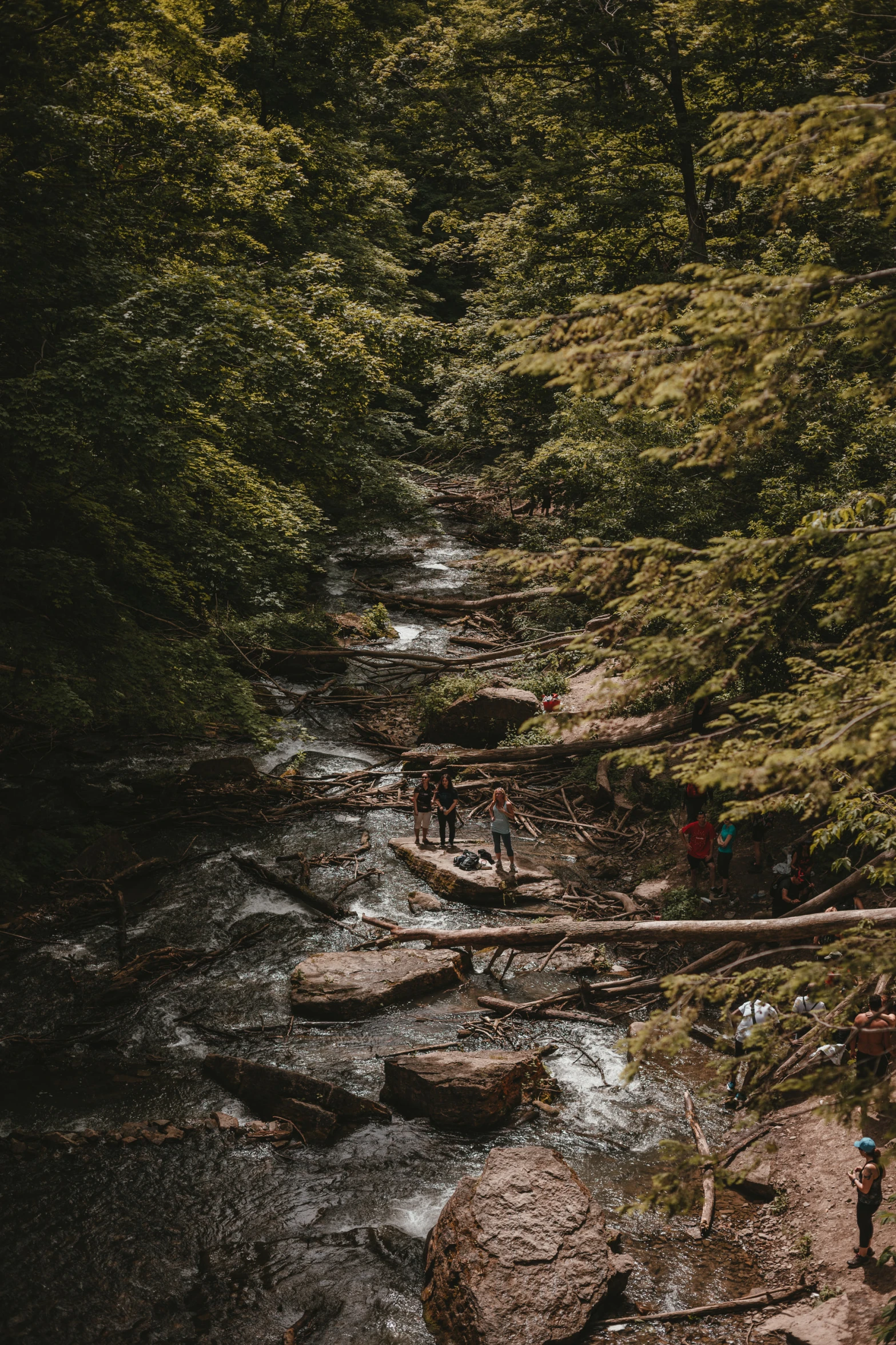 a person crossing a creek with trees on both sides