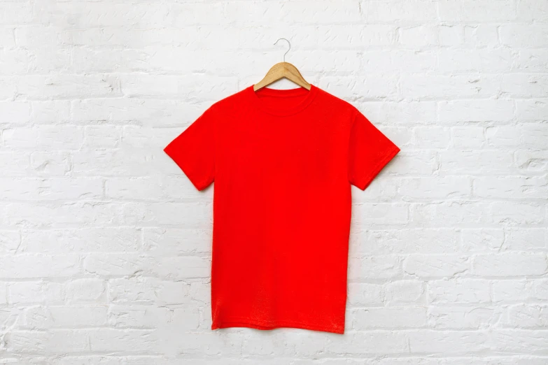 an unisex shirt hanging on a white brick wall
