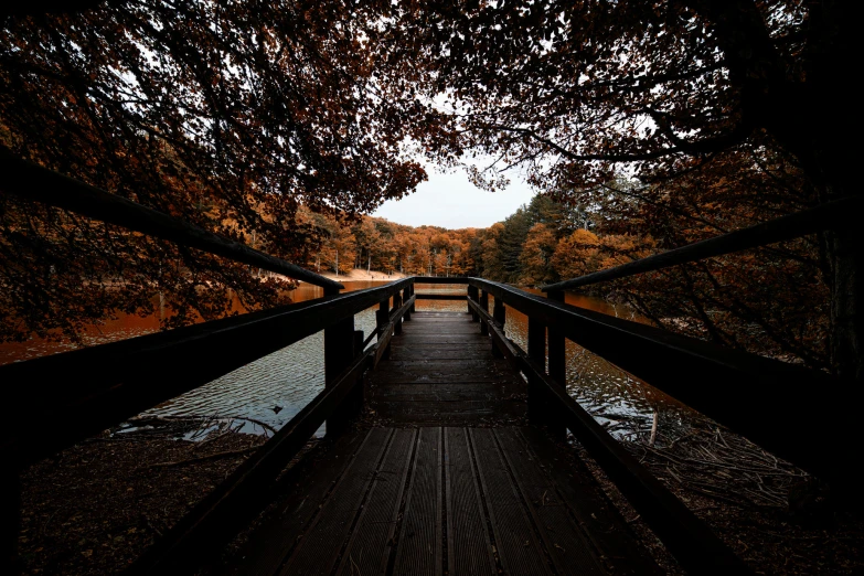 an image of a dark walkway leading to some trees