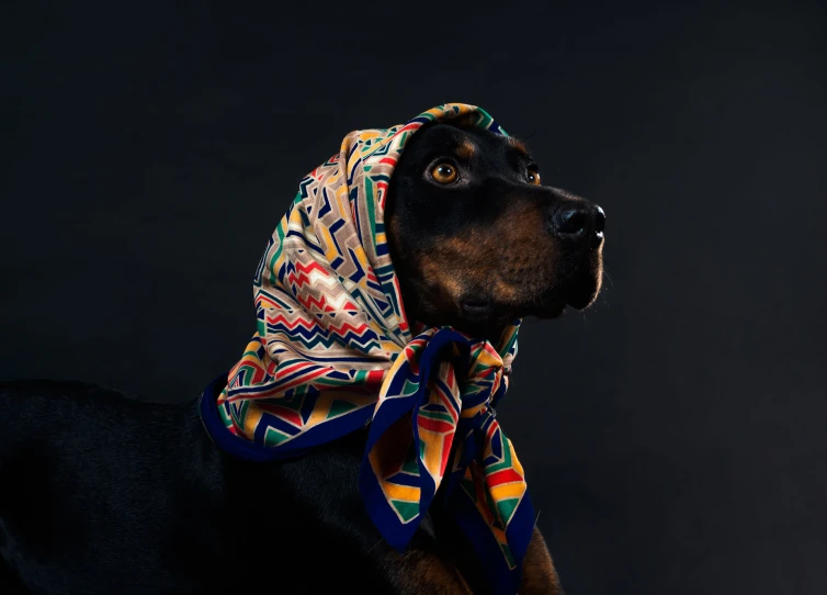 a dog is wearing a colorful hat and tie