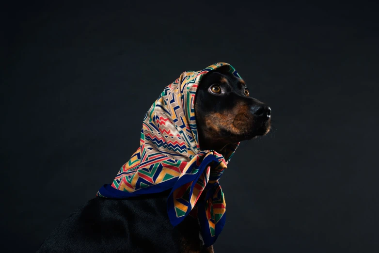 a dog is dressed in an ethnic looking costume