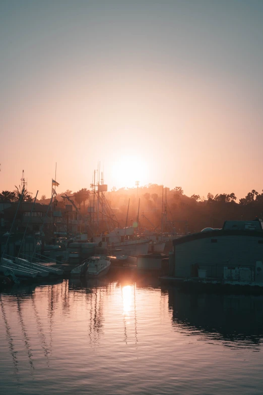 several boats are docked in the harbor during sunset