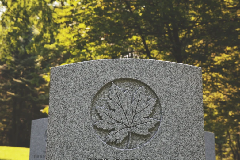 granite memorial of an oak leaf with the words maple in the center