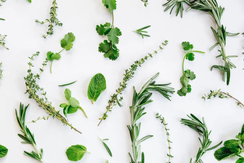 small green flowers and greenery arranged on a white surface