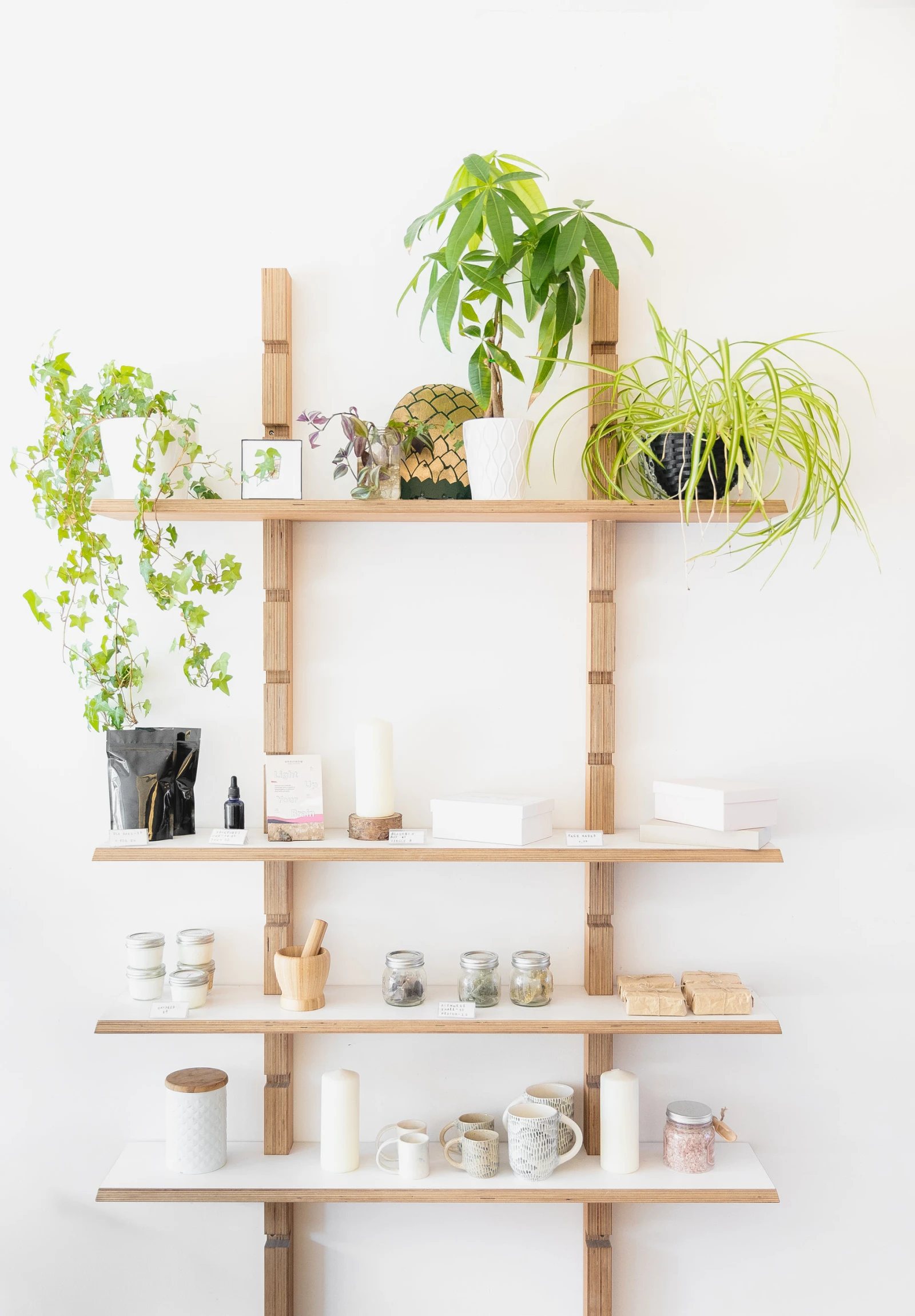 a wooden shelving unit containing various potted plants