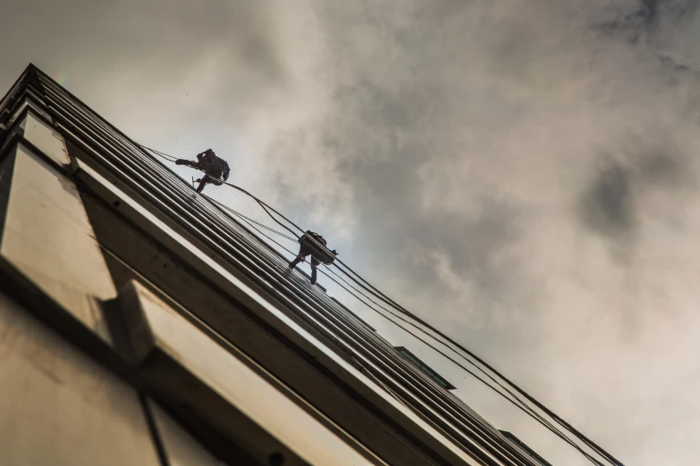 a group of birds sitting on top of a metal roof