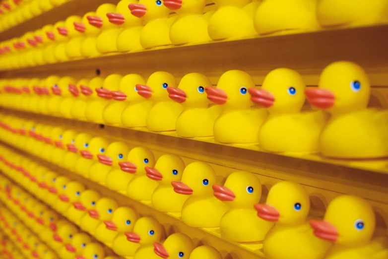 rows of rubber ducks lined up in the store