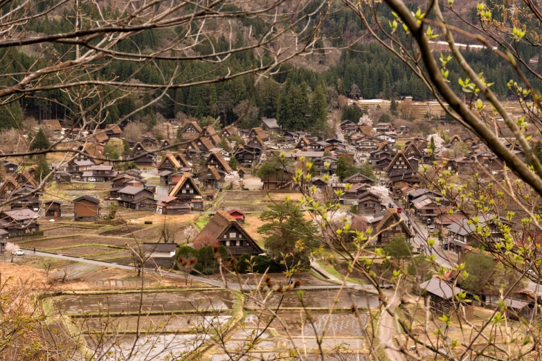 a landscape view of a village