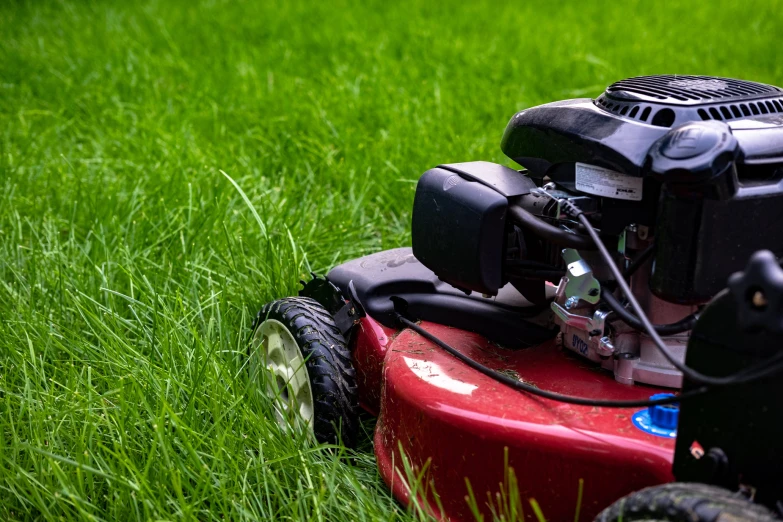 a red lawn mower is in the tall grass