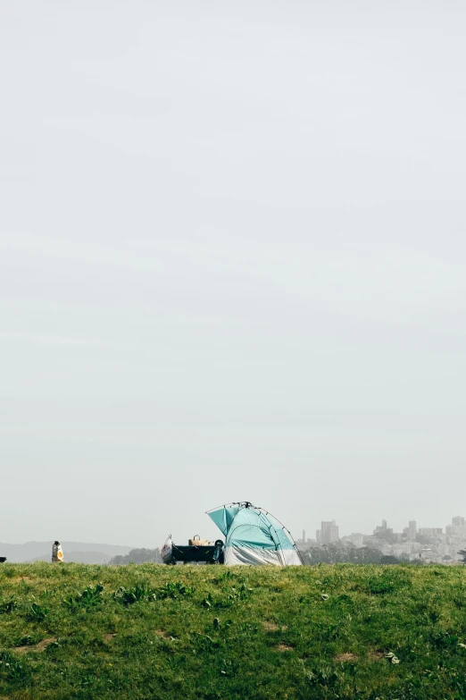 a person stands on the grass holding an umbrella