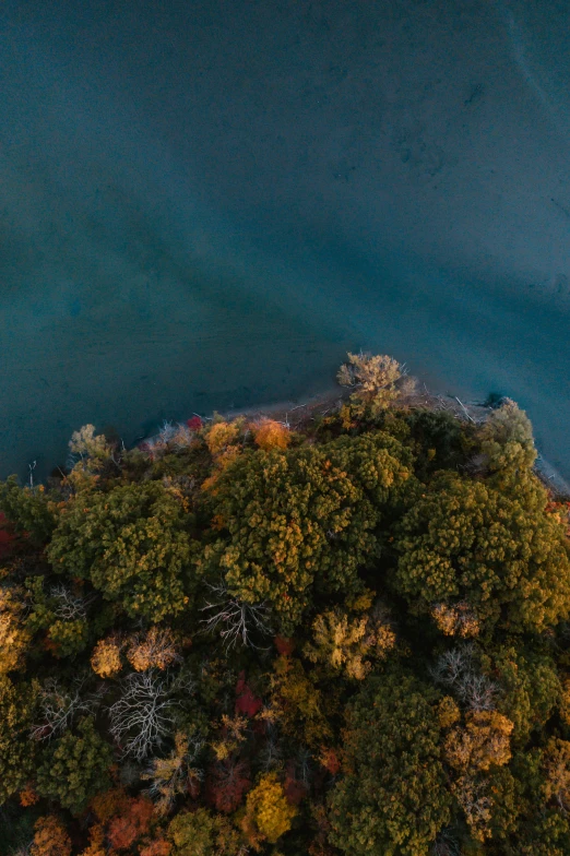 the lake and forest are covered with leaf changing