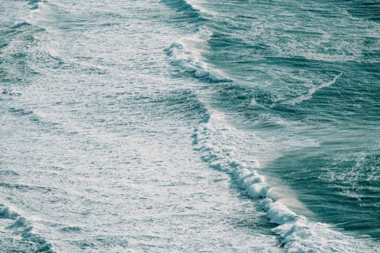 a lone bird walking along the beach at the ocean