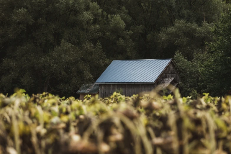 a barn in the middle of a field surrounded by trees