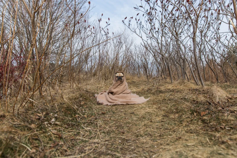 a person sitting on a patch of grass surrounded by tall weeds