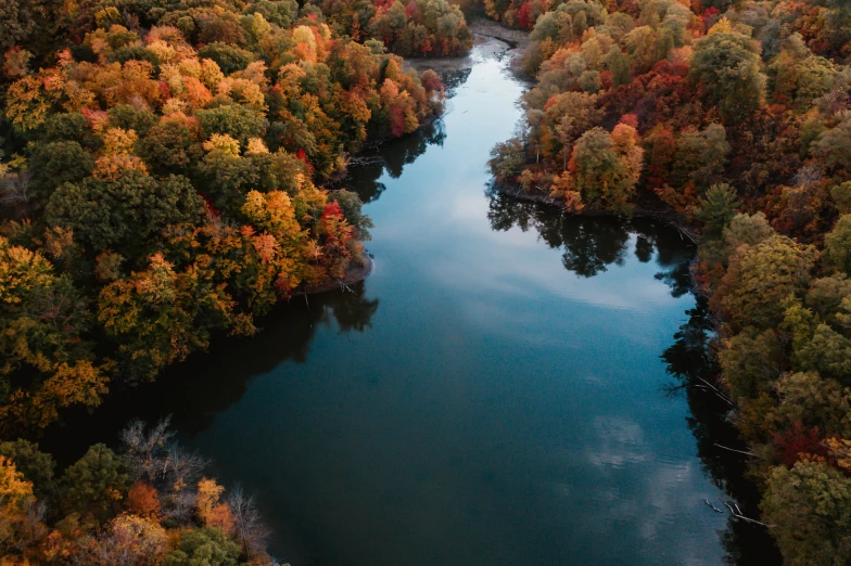 a body of water with some trees and a train on it