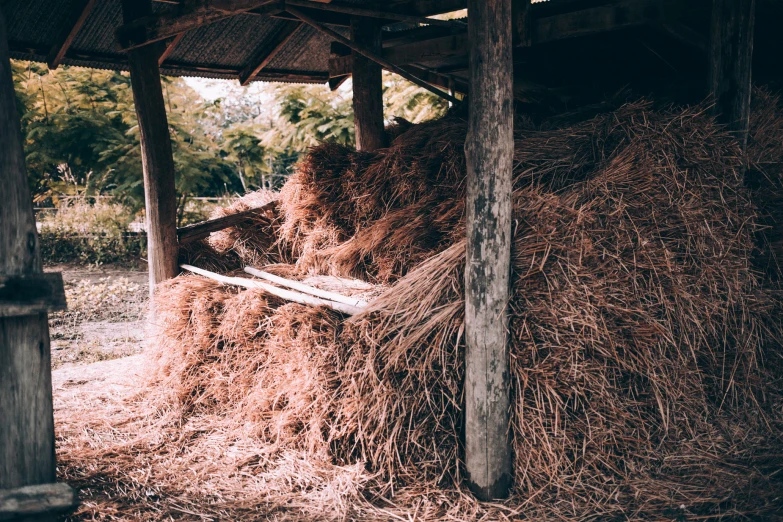 hay piled up under a covered wooden structure