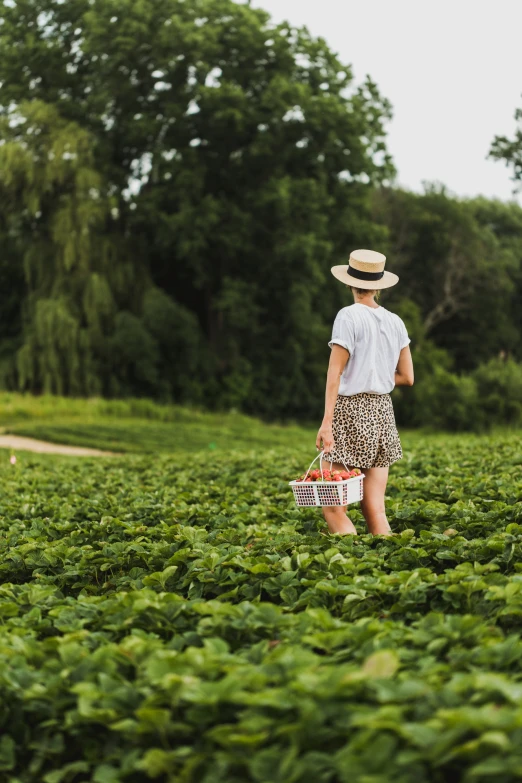 a woman with a basket walks in a field